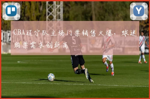 CBA辽宁队主场门票销售火爆,球迷购票需求创新高