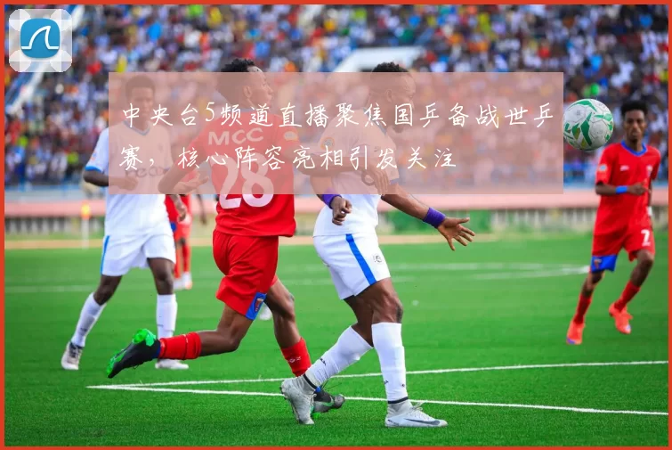 中央台5频道直播聚焦国乒备战世乒赛，核心阵容亮相引发关注