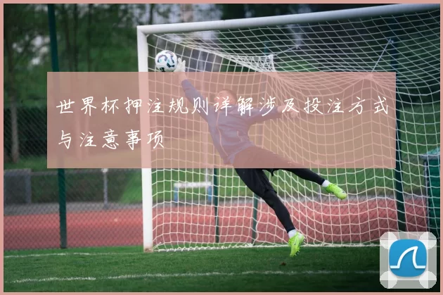 世界杯押注规则详解涉及投注方式与注意事项