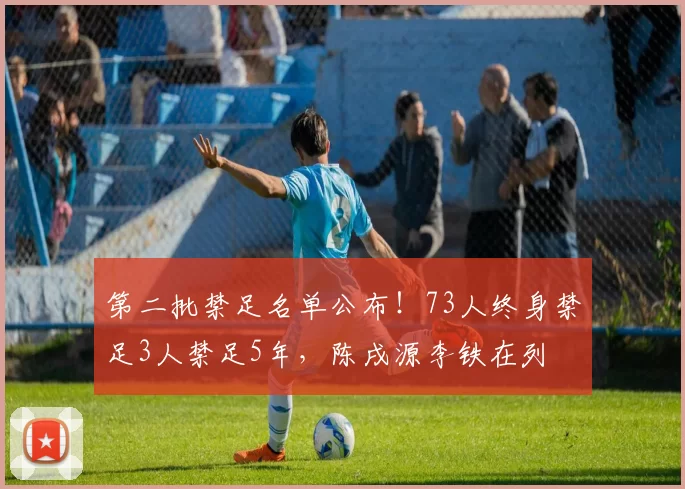 第二批禁足名单公布！73人终身禁足3人禁足5年，陈戌源李铁在列