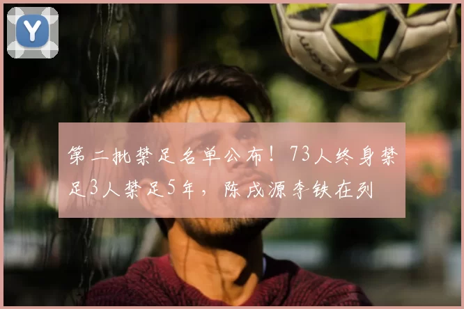 第二批禁足名单公布！73人终身禁足3人禁足5年，陈戌源李铁在列