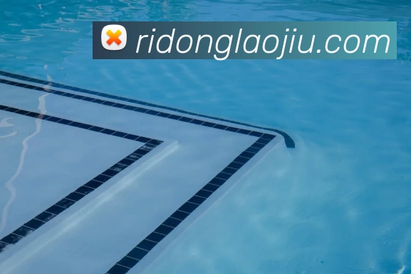 App Interface Preview