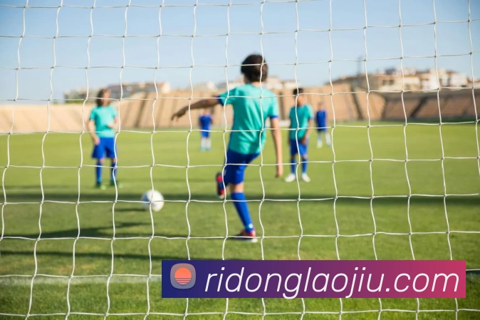 星空体育官方入口登录APP 封面图